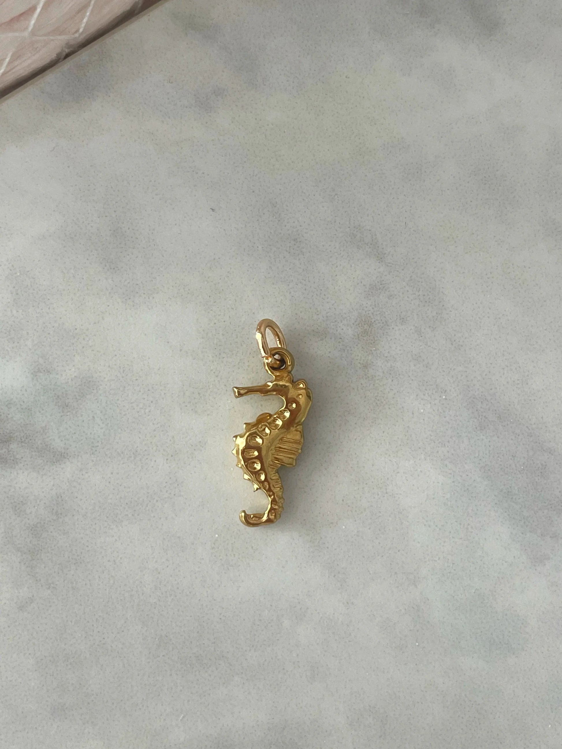 CHARM CABALLITO DE MAR-Joyería de calidad en acero y resistente al agua ESENZIA