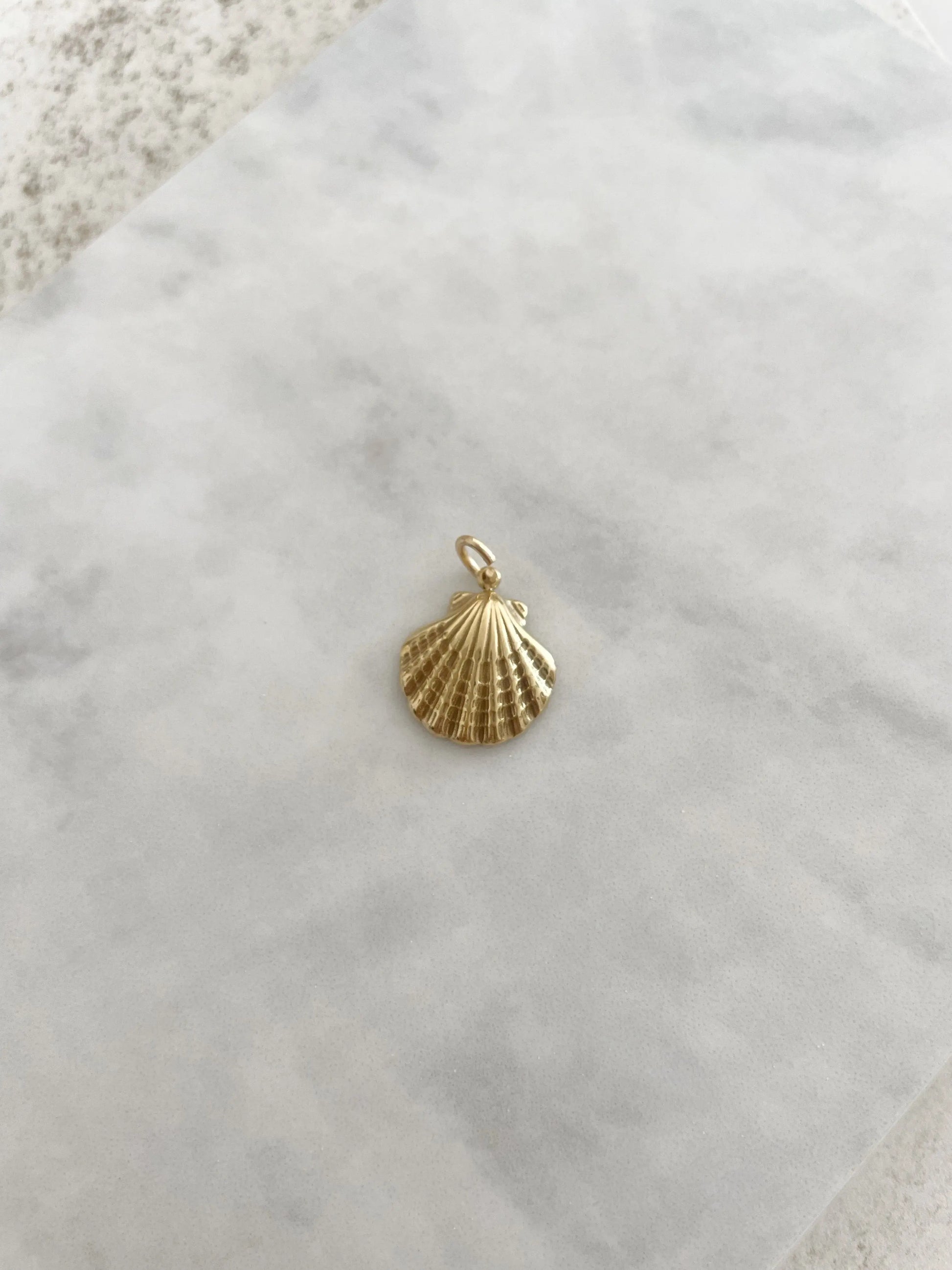 CHARM CONCHA-Joyería de calidad en acero y resistente al agua ESENZIA