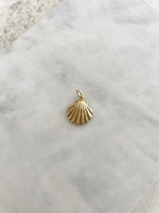 CHARM CONCHA-Joyería de calidad en acero y resistente al agua ESENZIA
