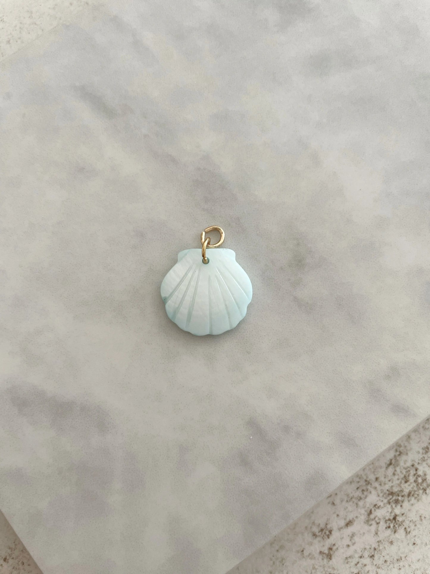 CHARM CONCHA-Joyería de calidad en acero y resistente al agua ESENZIA