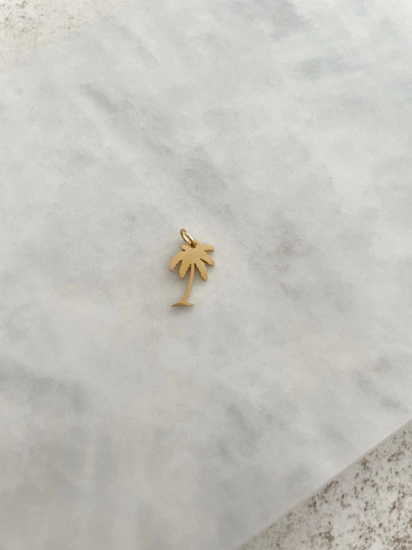 CHARM PALMERA-Joyería de calidad en acero y resistente al agua ESENZIA