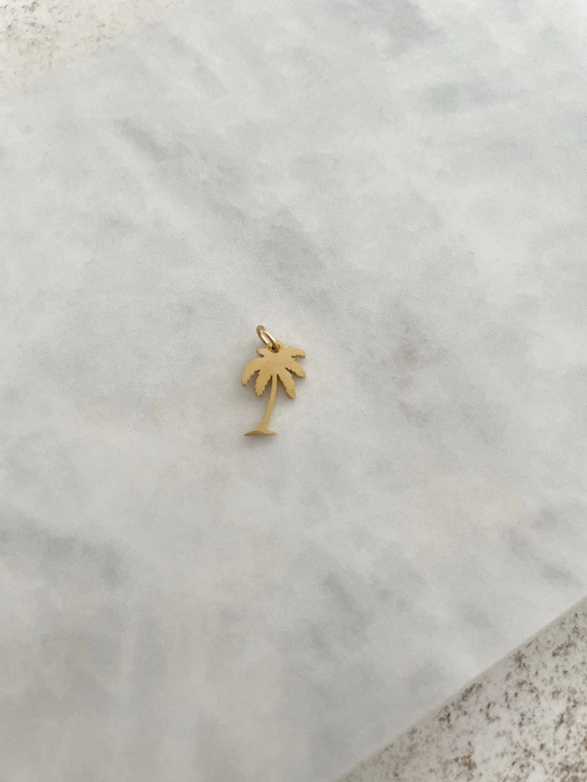 CHARM PALMERA-Joyería de calidad en acero y resistente al agua ESENZIA