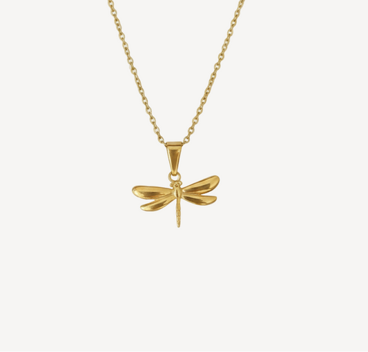 Collar de libélula en acero inoxidable 316L con baño de oro 18k. Símbolo de transformación, libertad y esperanza. Hipoalergénico, resistente al agua. Longitud ajustable 40+5cm.