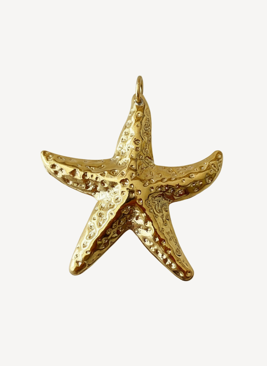 Lleva Menorca en tu corazón.
El Collar Menorca es más que una joya: es un recuerdo, una promesa, un sueño. Inspirado en la isla más auténtica del Mediterráneo, este collar te acompaña como símbolo de momentos especiales, veranos inolvidables y la paz que solo el mar puede dar. Para quienes llevan Menorca en el alma.
- Material: Acero inoxidable 316L - Hipoalergénico. Sin níquel, sin plomo.
- Acabado: Baño oro 18k.
- Longitud: 40 + 5 cm