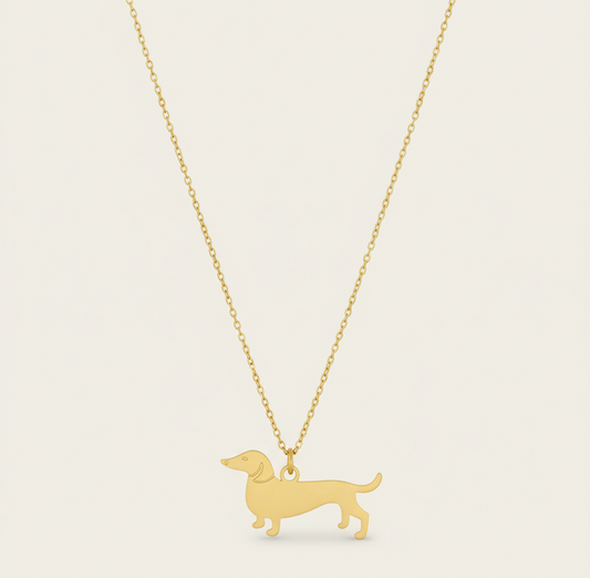 COLLAR PERRITO SALCHICHA