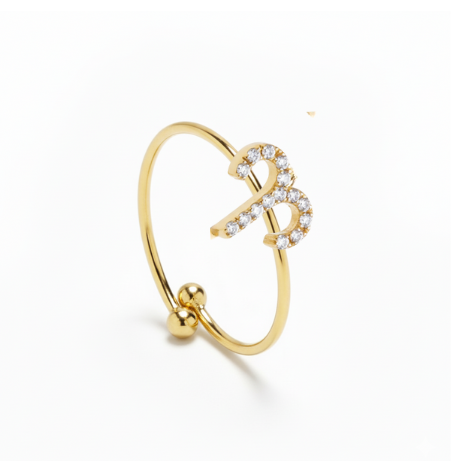 ANILLO ZODIACO
