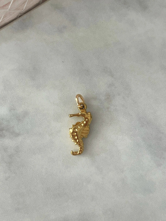 CHARM CABALLITO DE MAR-Joyería de calidad en acero y resistente al agua ESENZIA