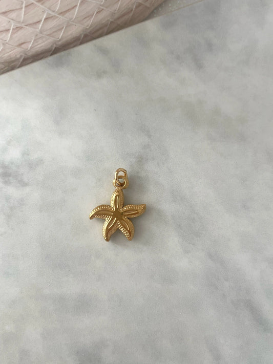 CHARM ESTRELLA DE MAR-Joyería de calidad en acero y resistente al agua ESENZIA
