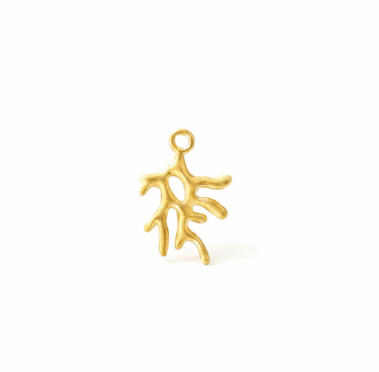 CHARM CORAL