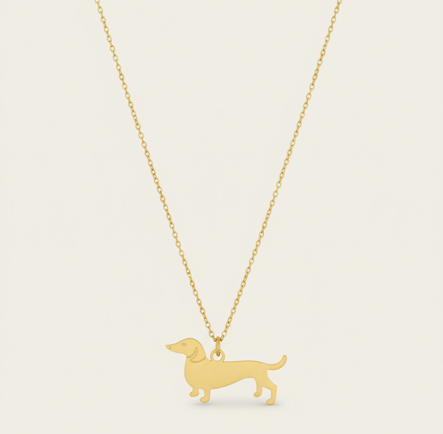 COLLAR PERRITO SALCHICHA