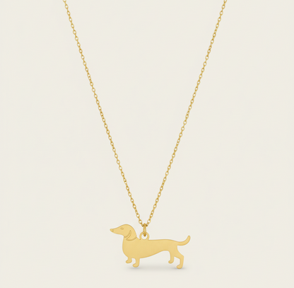 COLLAR PERRITO SALCHICHA