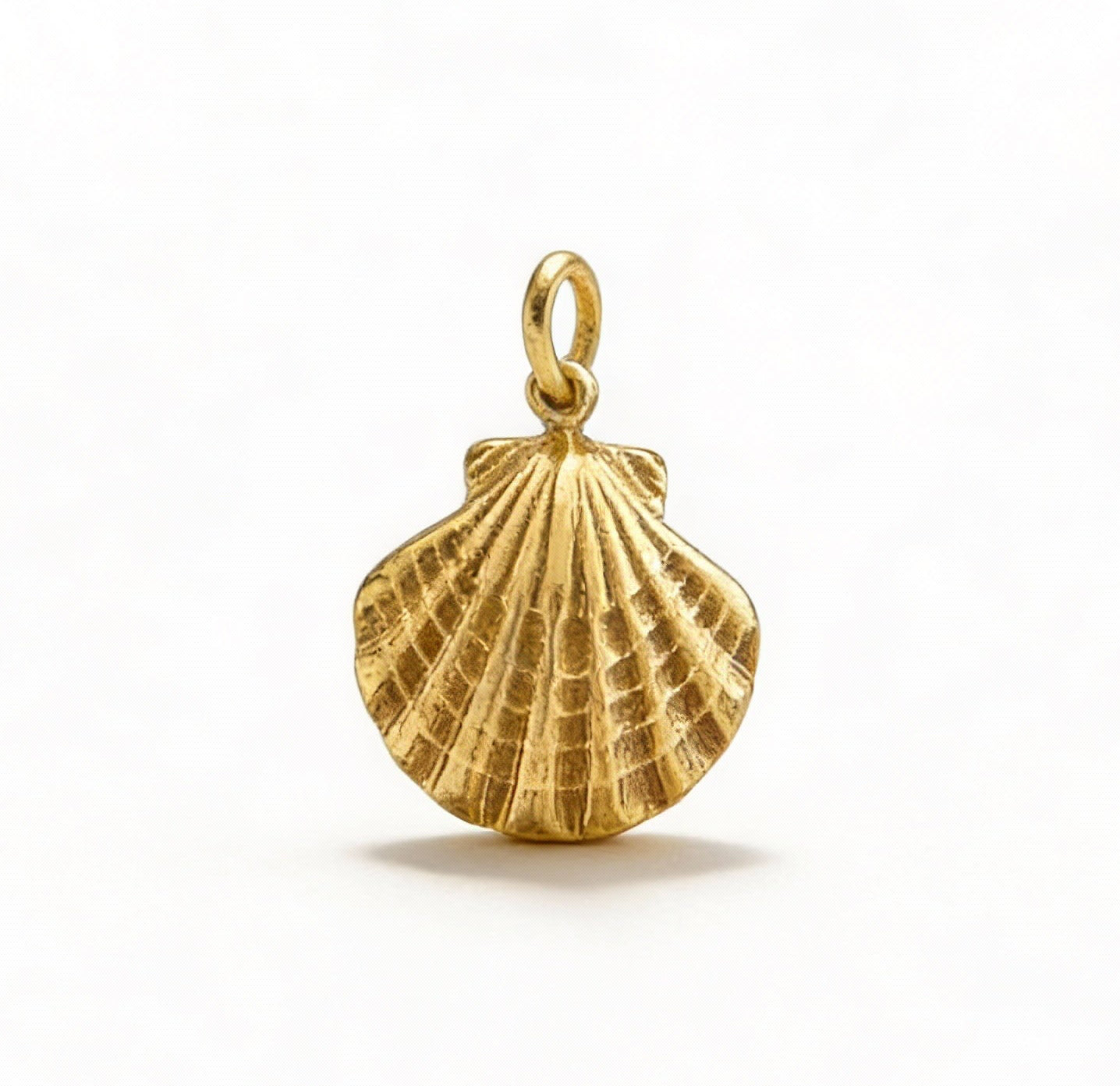 CHARM CONCHA