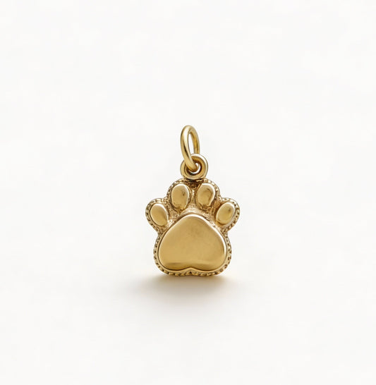 CHARM HUELLA